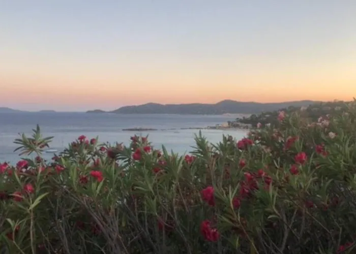 Family With Sea View Classified 3 - 8 People Villa Le Lavandou