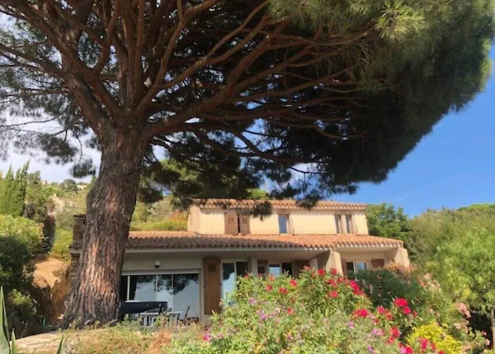 Family With Sea View Classified 3 - 8 People Le Lavandou